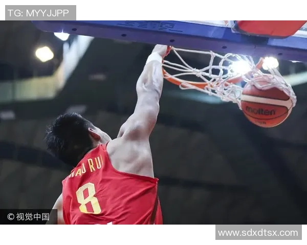 2017年中国红队与立陶宛的精彩对决回顾与分析