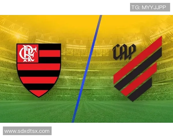 巴西杯激战巴拉纳对决费拉巴精彩瞬间回顾与分析