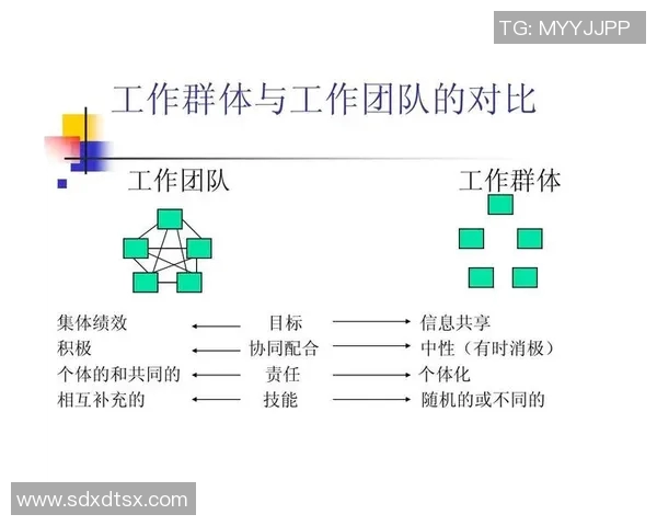 团队协作与竞技精神的融合探索团队运动中的合作与竞争关系分析