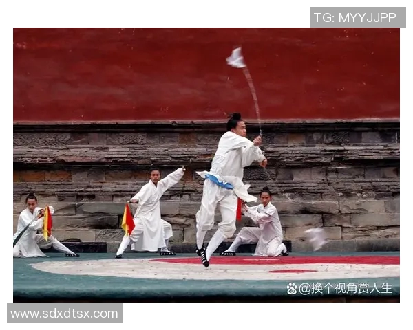 武术文化传承与创新探索：从传统技艺到现代实践的多维度解读