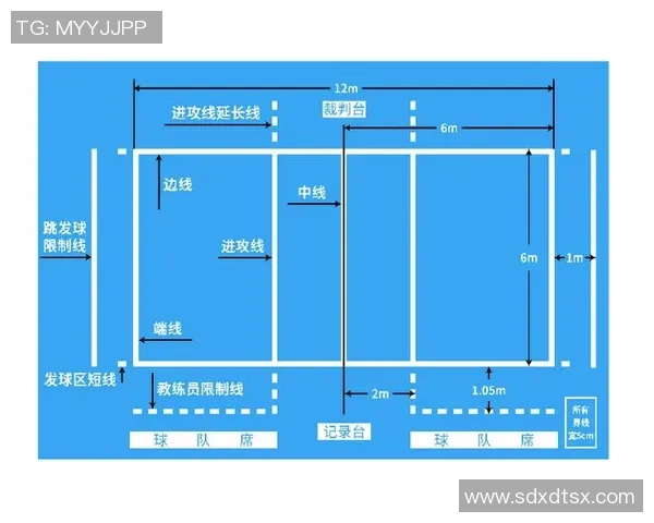 从零开始掌握排球技巧与策略全解析助你成为排球高手 从零开始掌握排球技巧与策略全解析助你成为排球高手