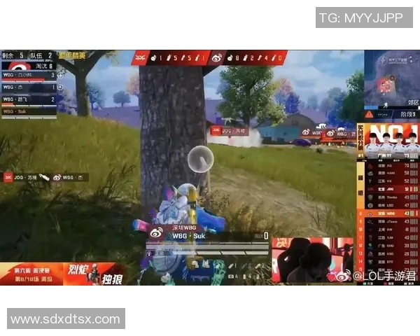 和平精英评论：分析JDG在比赛中的盯防策略与成效评估