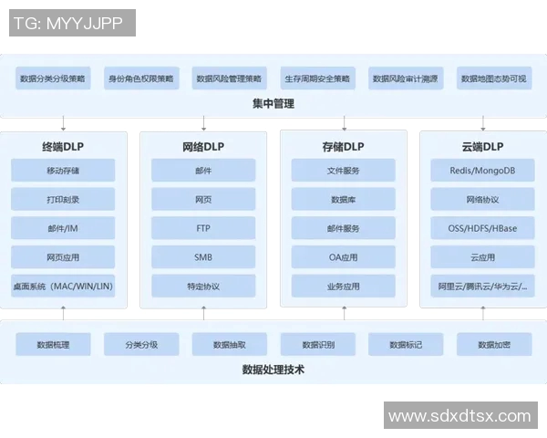 成都极限运动队耐力表现数据分析与训练策略探讨