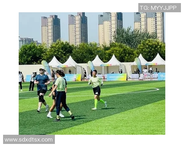 深入分析西安飞盘队的战术布局与控制打法技巧