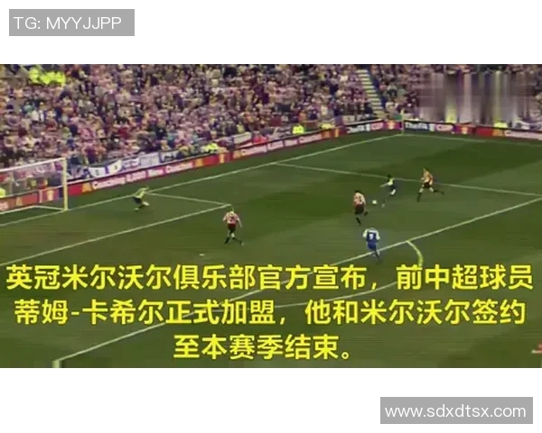 世界杯星光璀璨：探索球场上的传奇人物与背后的故事