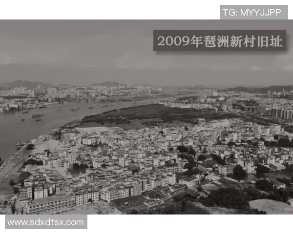 广州网球队崛起之路：全国锦标赛背后的奋斗与坚持