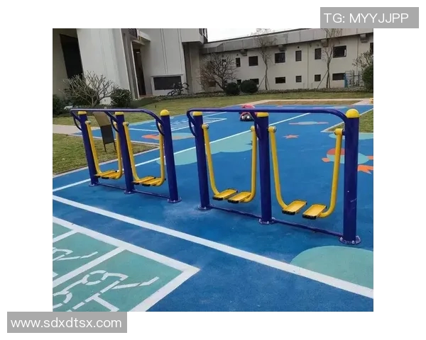 青岛市户外健身器材发展与布局现状