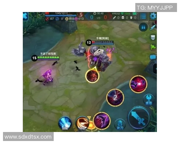 张娜独家揭秘王者荣耀游戏技巧与心得分享助你快速提升段位